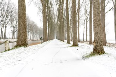 Kar yağışında iki sıra ağaç arasında bisikletçiler ve yayalar için bir patika var.