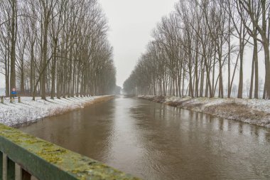 Bir kış günü, kar yağarken, nehir boyunca güzel büyük ağaçlarla.