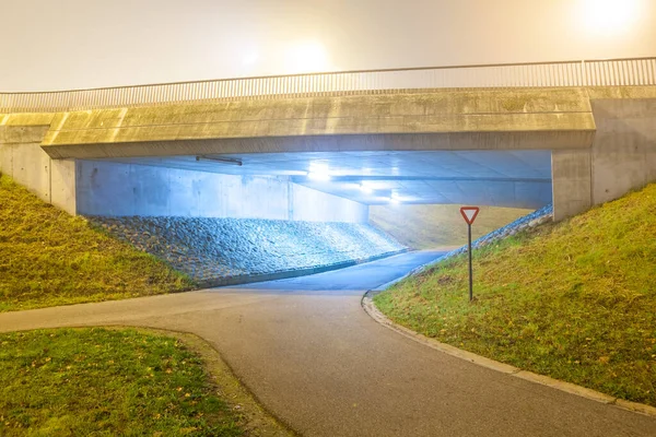 Gece Bir Bisiklet Sokağında Sisli Bir Havada Şehrin Kenarında — Stok fotoğraf