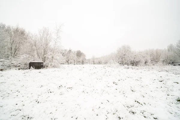 Einem Wintertag Februar Diese Wunderschöne Schneelandschaft Der Natur — Stockfoto