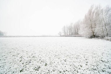 Şubat ayında bir kış günü, doğadaki bu güzel kar manzarası