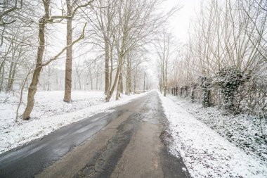 Şubat 'ın ortasında bir pazar günü bu yol ağaçların arasına kar yağdı.