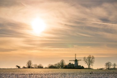 Bu eski yel değirmeni Flaman Ardennes Whit karındaki milli parktadır.