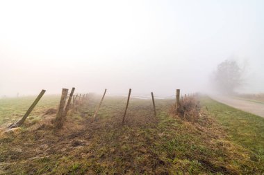 Sisli bir kış sabahı, ağaçlı ve çitli bir çayır