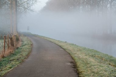 Nehir boyunca ağaçların arasında sisli, soğuk bir sabah
