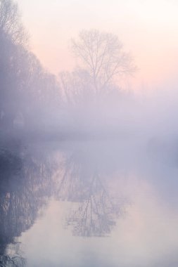 Sabahın erken saatlerinde sisli bir nehir boyunca yükselen birkaç virajlı