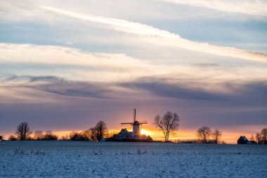Bu eski yel değirmeni Flaman Ardennes Whit karındaki milli parktadır.
