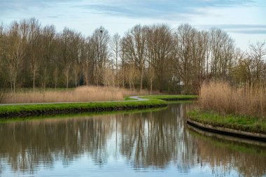 Nehir boyunca gün doğumunda doğadaki birçok kıvrımlarıyla