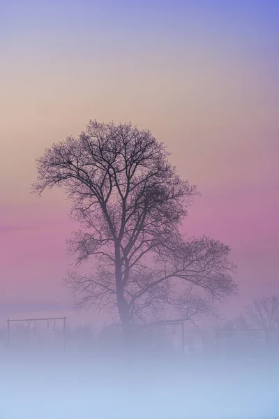 Einem Frostigen Morgen Liegt Nebel Über Der Wiese Der Morgendämmerung — Stockfoto