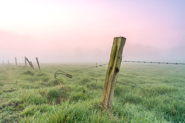 This beautiful morning the meadow was filled with fog and fence with posts and spricker wire