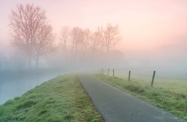 Temprano Una Mañana Helada Con Niebla Largo Río Con Varias —  Fotos de Stock