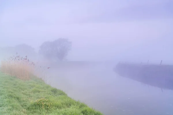 Dini Hari Dengan Kabut Naik Sepanjang Sungai Dengan Beberapa Tikungan — Stok Foto