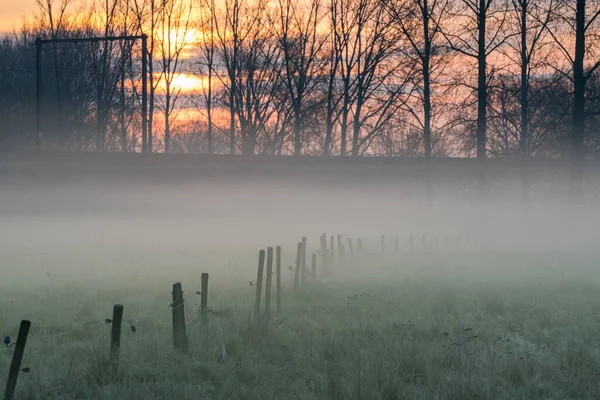 Einem Frostigen Morgen Liegt Nebel Über Der Wiese Der Morgendämmerung — Stockfoto