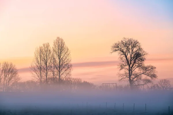 Einem Frostigen Morgen Liegt Nebel Über Der Wiese Der Morgendämmerung — Stockfoto