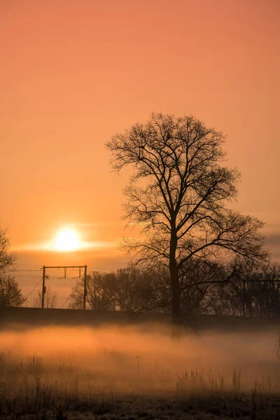 Frosty Morning Fog Grassland Dawn Next Track Whit Sun Rising — Stock Photo, Image