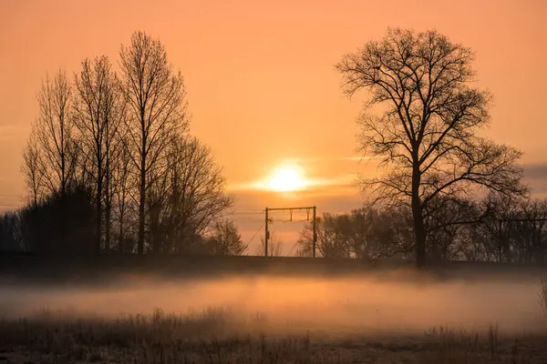 Einem Frostigen Morgen Liegt Nebel Über Der Wiese Der Morgendämmerung — Stockfoto