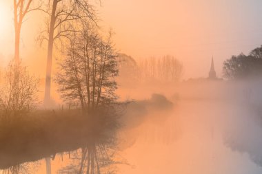 Sisli bir sabah, bu kilise kulesi sabah ışığında ağaçların yanında.