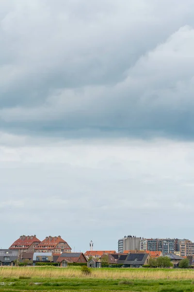 Çayırın Arkasında Deniz Kenarında Kara Bulutlu Bir Deniz Feneri Var — Stok fotoğraf
