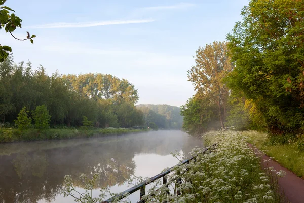 Sabahın erken saatlerinde nehrin üzerinde, yanında bisiklet yolu olan bir sis oluşur.