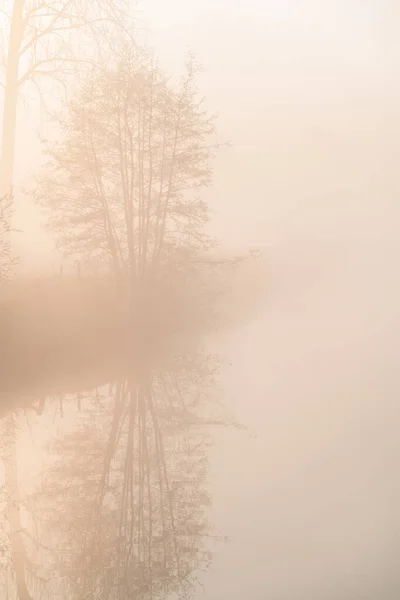 Par Matin Brumeux Clocher Dans Lumière Matin Côté Des Arbres — Photo