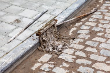 Bir patikanın yanında çamurla kaplı bir dere var.