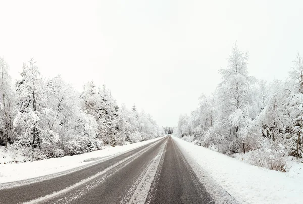 Hoge venen i snö — Stockfoto