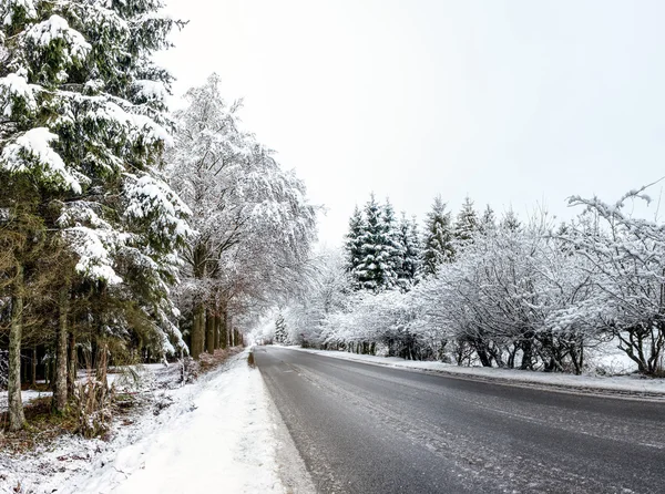 Hoge venen i snö — Stockfoto