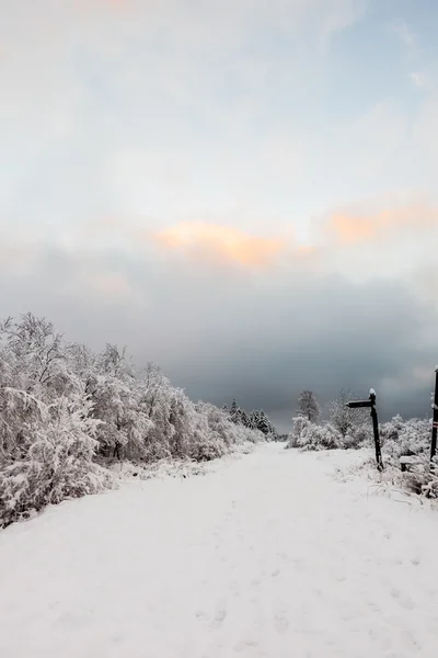 Hoge venen i snö — Stockfoto