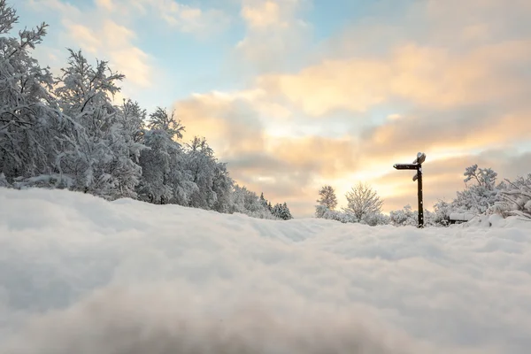 Hoge venen i snö — Stockfoto