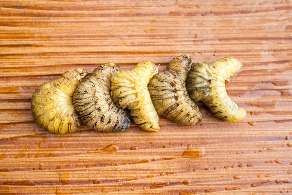 Larva de — Fotografia de Stock