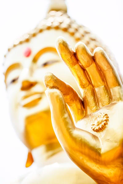Kéz-Buddha — Stock Fotó