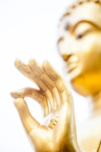 Hand of buddha — Stock Photo, Image