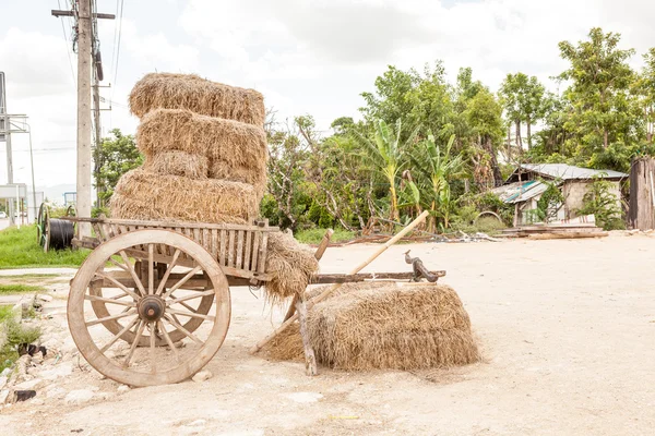 Taşıma ve saman — Stok fotoğraf