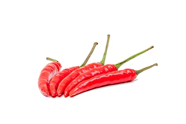 Pimentos — Fotografia de Stock