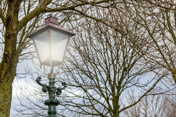 Farola en el parque —  Fotos de Stock