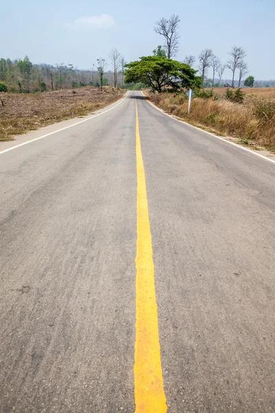 Straße in der Natur — Stockfoto