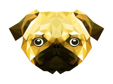 dogshead içinde yakın çekim