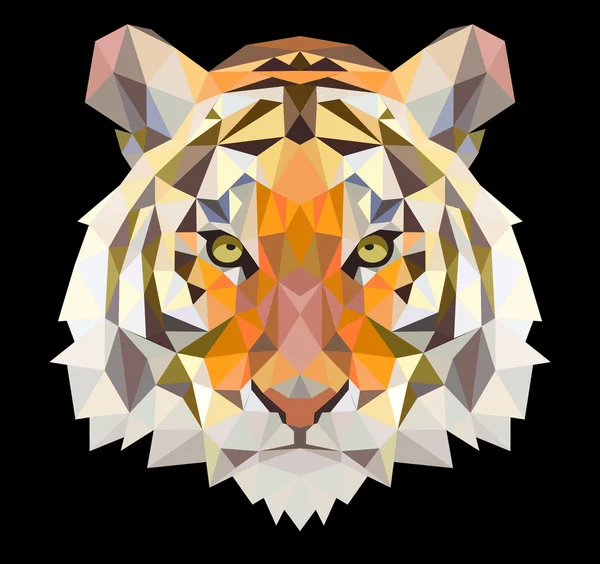 Head of an tiger — Stock Vector