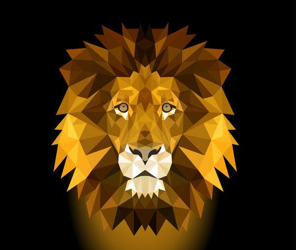 Head of lion