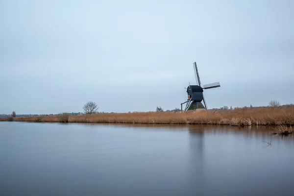 Kinderdijk w Holandii — Zdjęcie stockowe