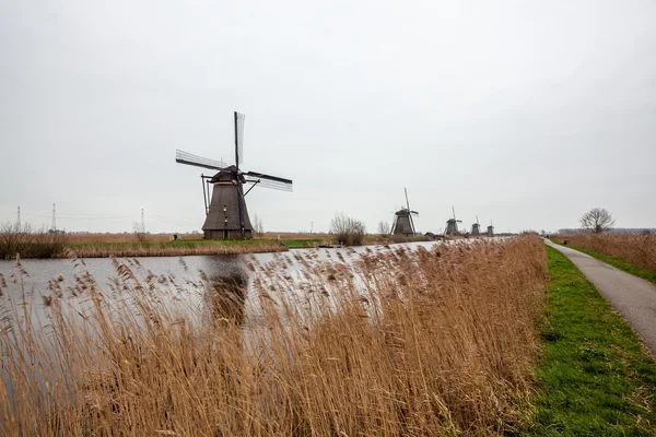 Kinderdijk en Holanda — Foto de Stock