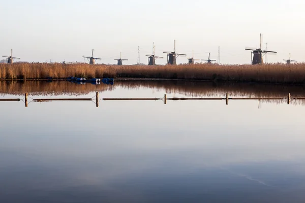 Kinderdijk in Nederland — Stockfoto