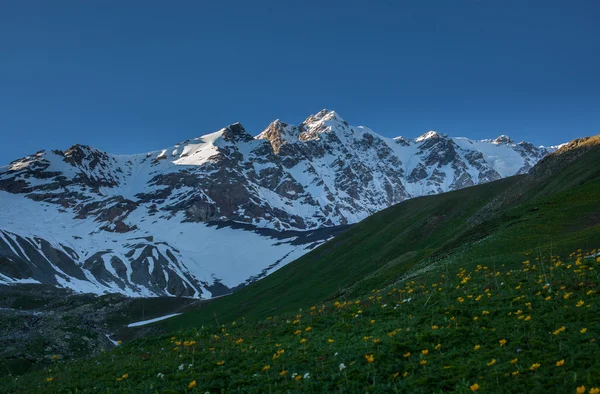 Almwiesen in svaneti, georgien — Stockfoto