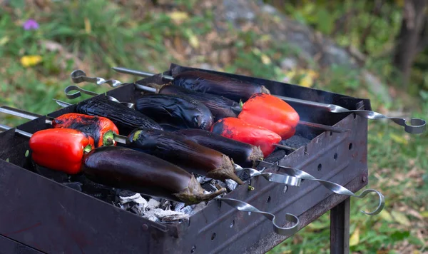 Grelhado em berinjelas frescas de churrasco e pimentas vermelhas em paus como ingredientes para khorovats de salada vegetal armênia — Fotografia de Stock