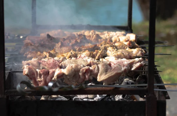 Barbeküde Izgara Kömürde Taze — Stok fotoğraf