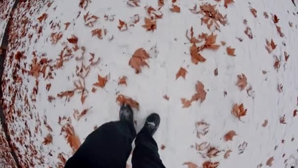 秋の乾燥した葉の完全なパスを歩いて男の魚眼ショット — ストック動画