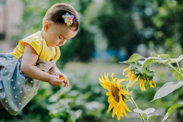 可爱的小宝宝 穿着黄色的衣服 手里拿着葵花花瓣 仔细端详着 — 图库照片