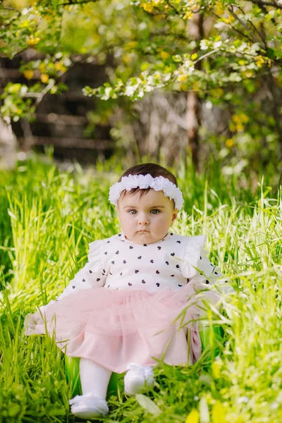 Mignon Bébé Six Mois Assis Sur Une Petite Chaise Dans — Photo