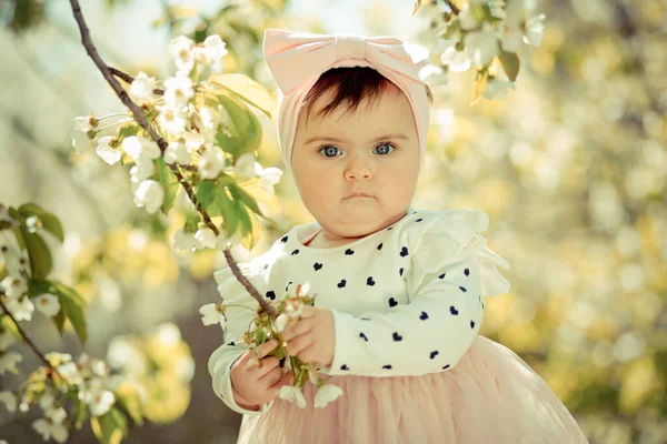 6个月大的婴儿拿着樱花枝 仔细地看着相机 — 图库照片