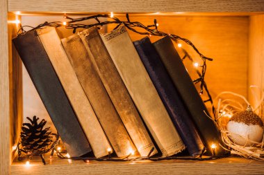Kitaplıkta noel ışığı ve çam kozalaklarıyla süslenmiş kitapların yakın çekimi.